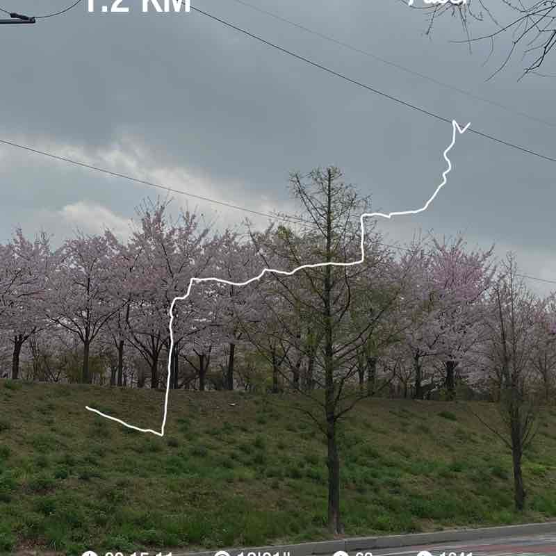 오르비폴리아 post 1