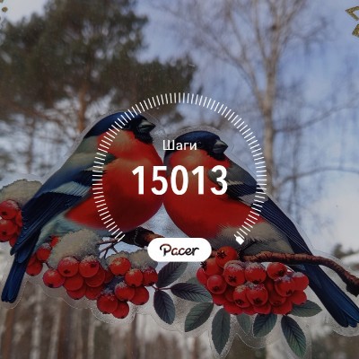 Иркутск_38. Топай и бегай!🤗 Юлия Егорова, Иркутск post image