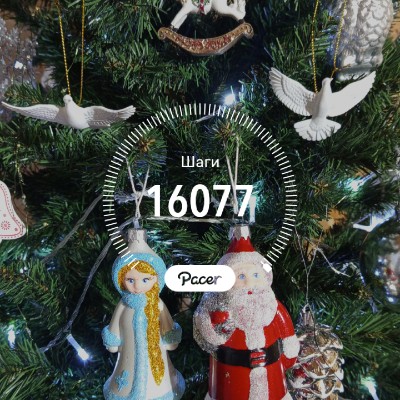 Шагаем вместе Юлия Егорова, Иркутск post image