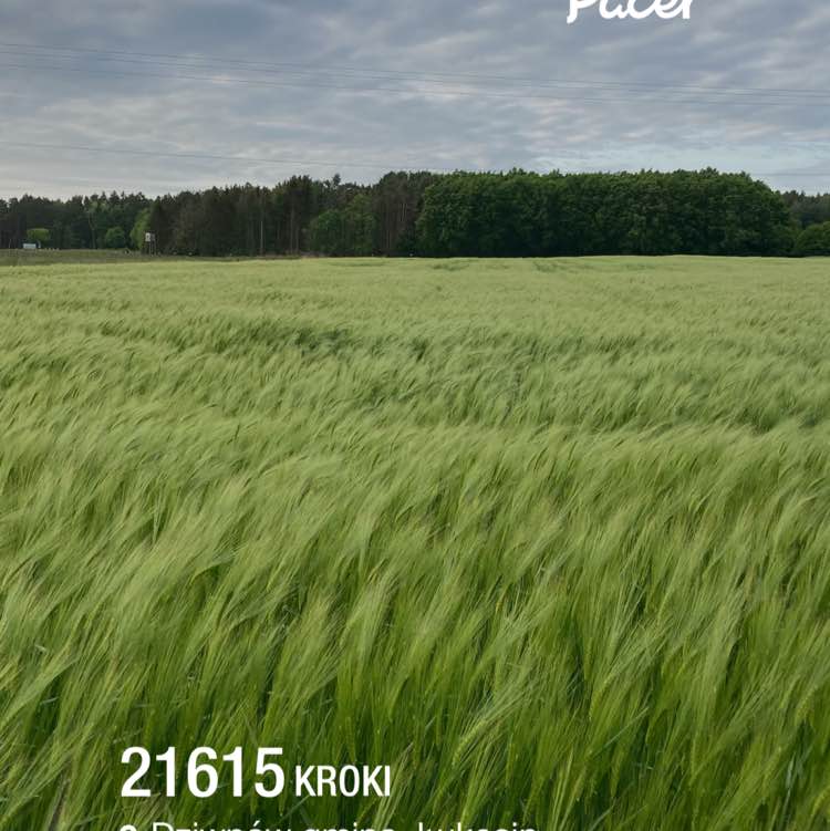 tu_ja post 1