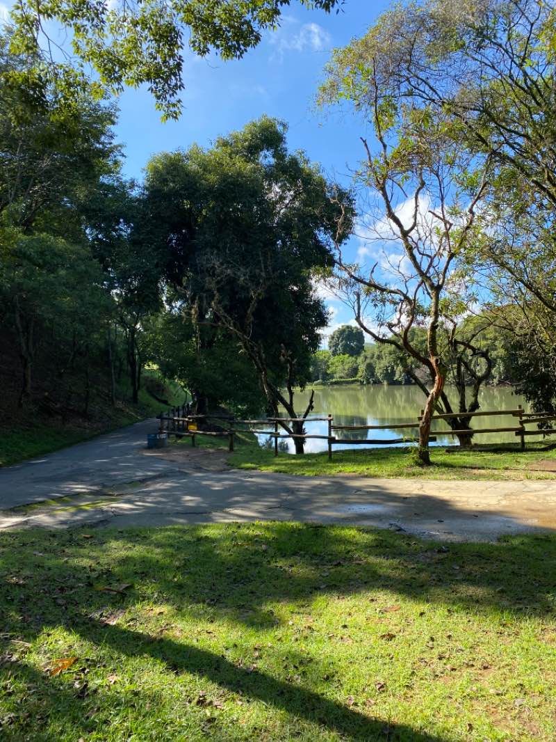 walking near me in Parque Ecológico Municipal - Anthero dos Santos in summer