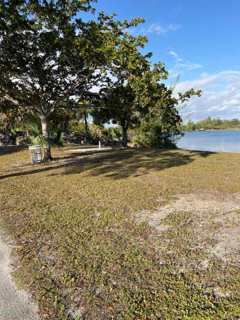 walking near me in Amelia Earhart Park in winter