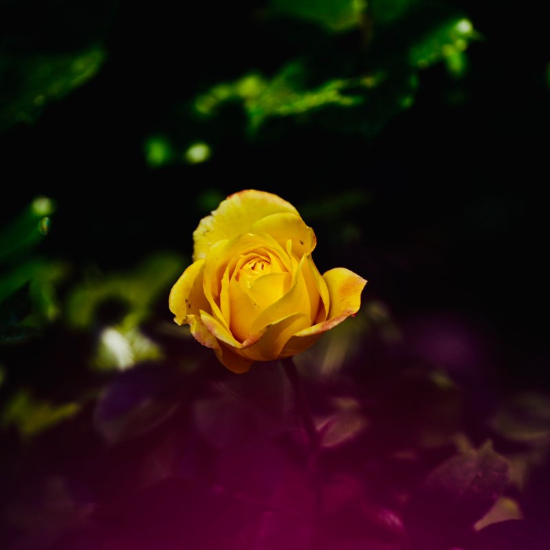 Loonge post 3