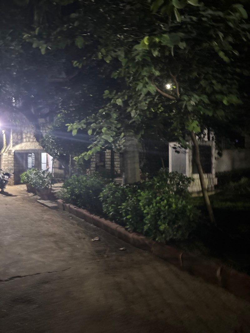 walking near me in Chacha Nehru Park in autumn