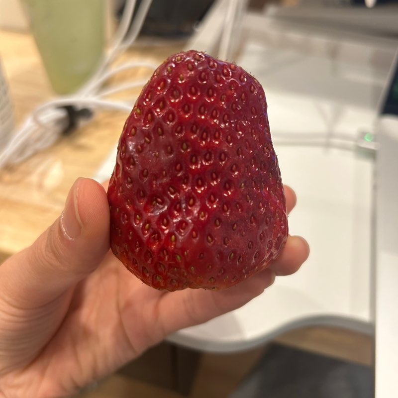 Congcong Pan profile