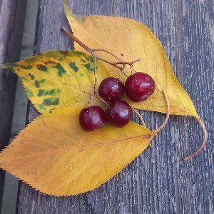 Zaynutdinova💋 profile