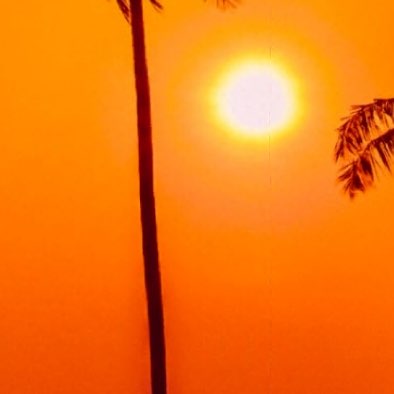 حمد العثمان profile