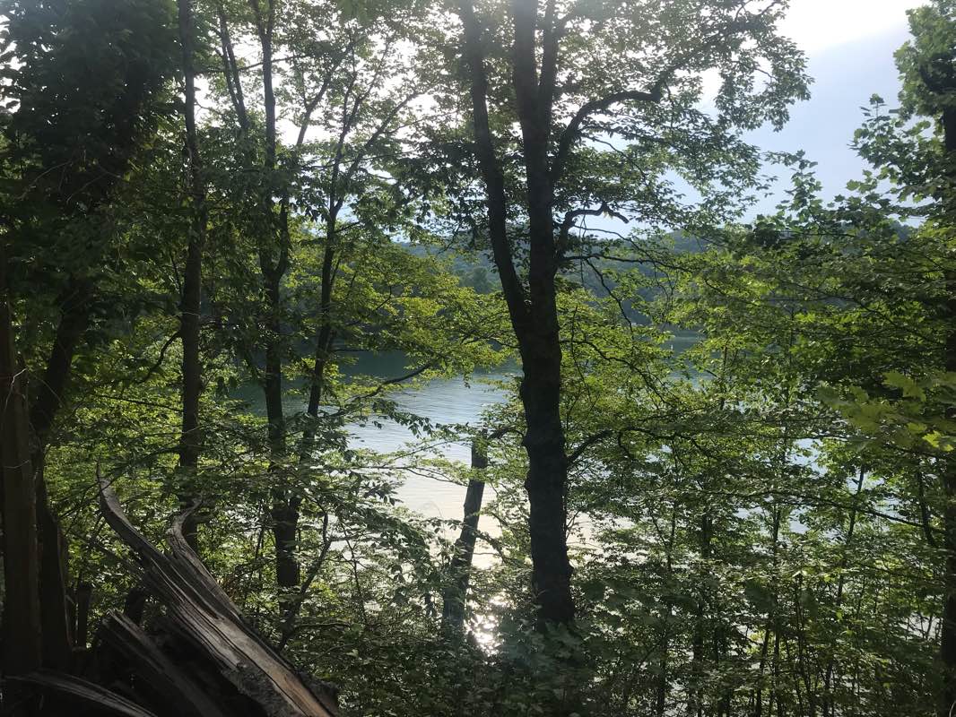 walking near me in Paintsville Lake State Park in winter