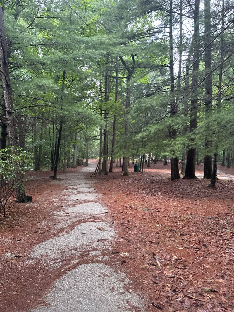 walking near me in Westwood Park in winter