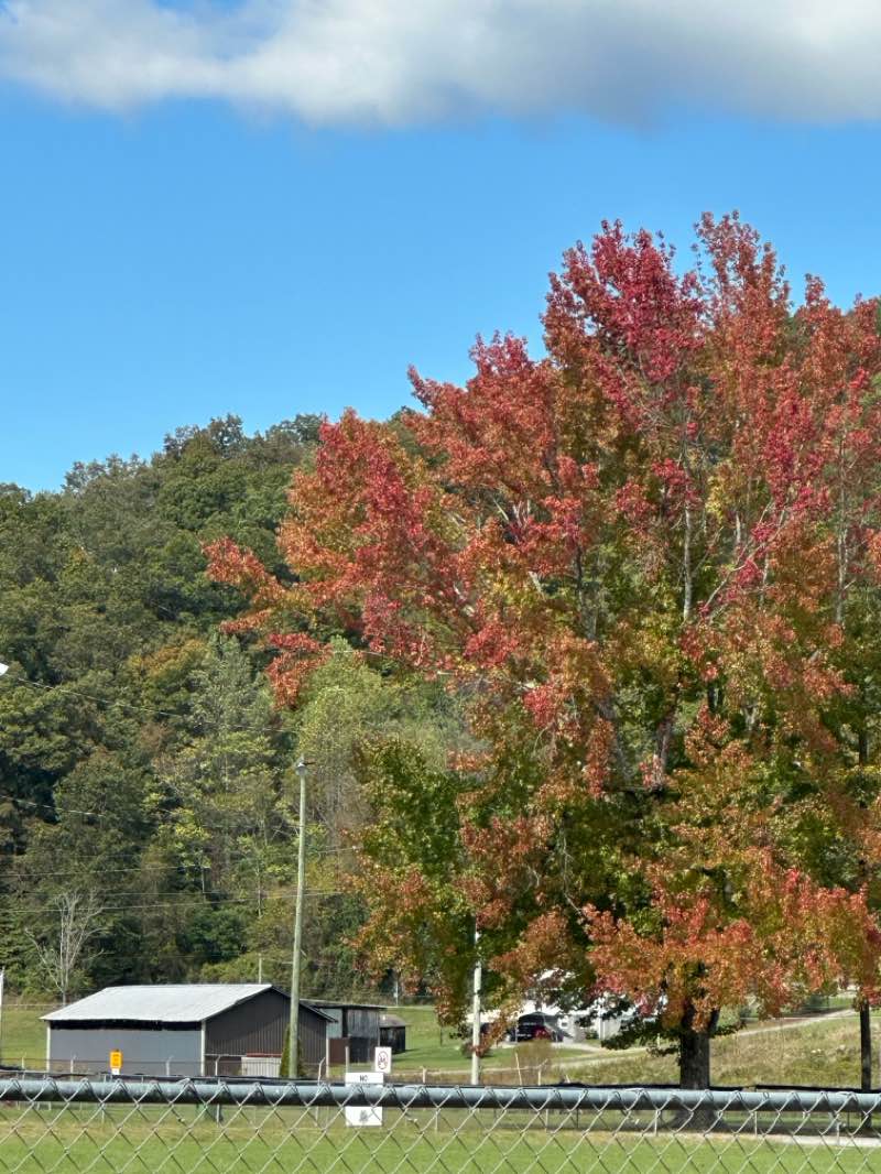 walking near me in Leeman Field Park in autumn