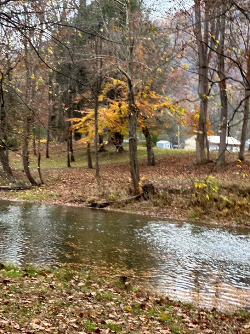 walking near me in Bullitt Park in autumn