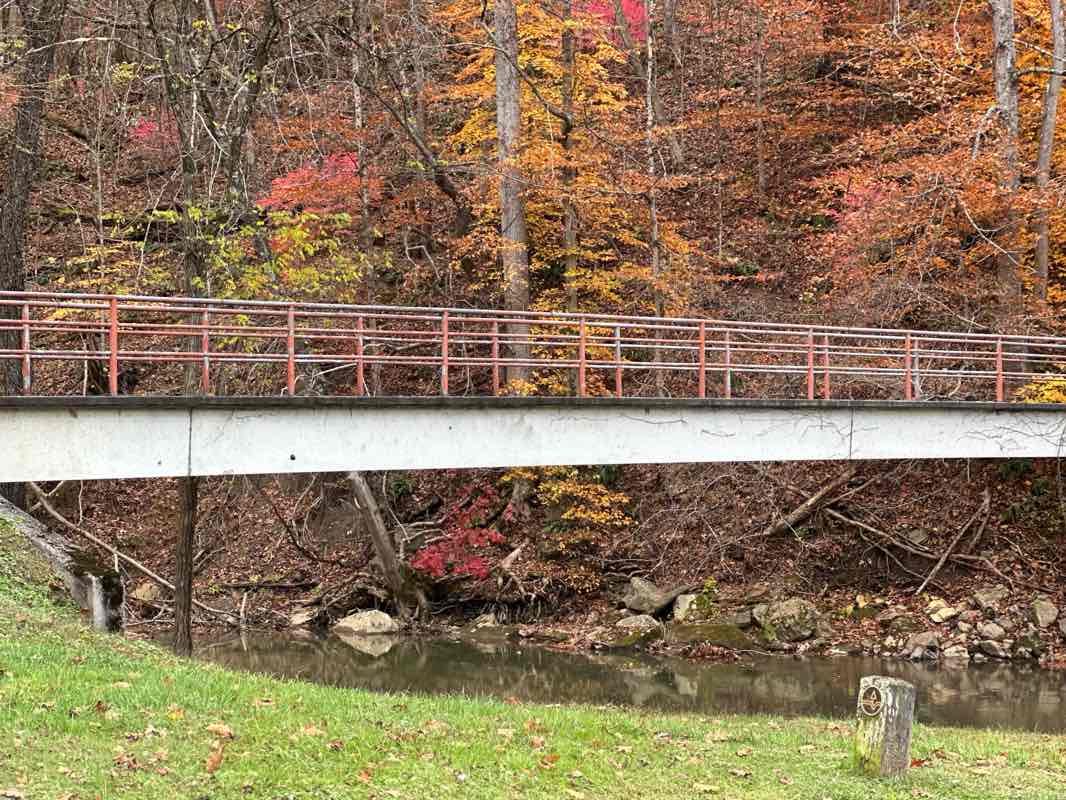 walking near me in Frog Level Park in autumn