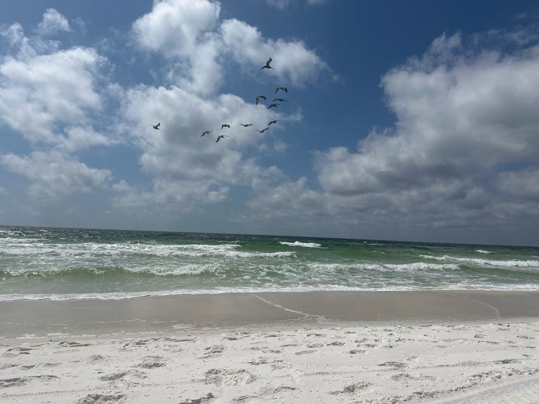walking near me in Gulf Islands National Seashore in spring