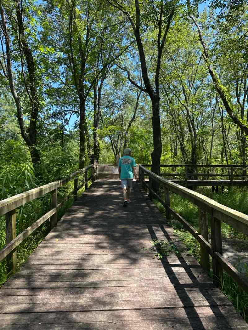 walking near me in Jackson Park in summer
