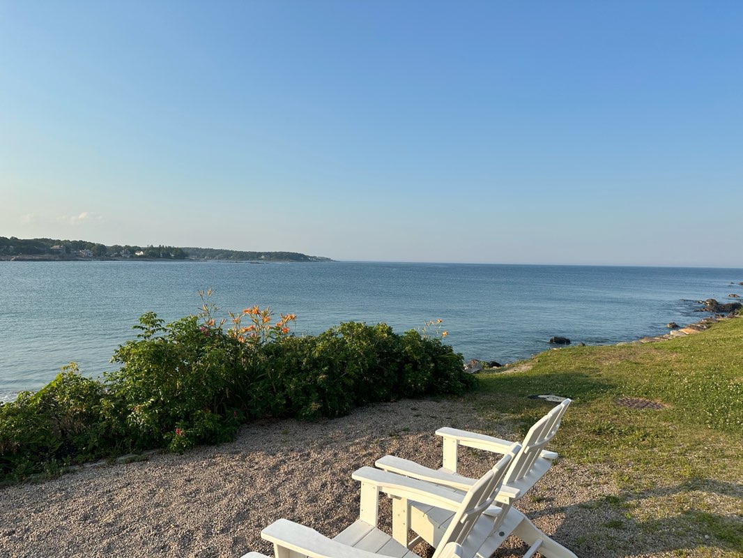 walking near me in Ellis Park in summer