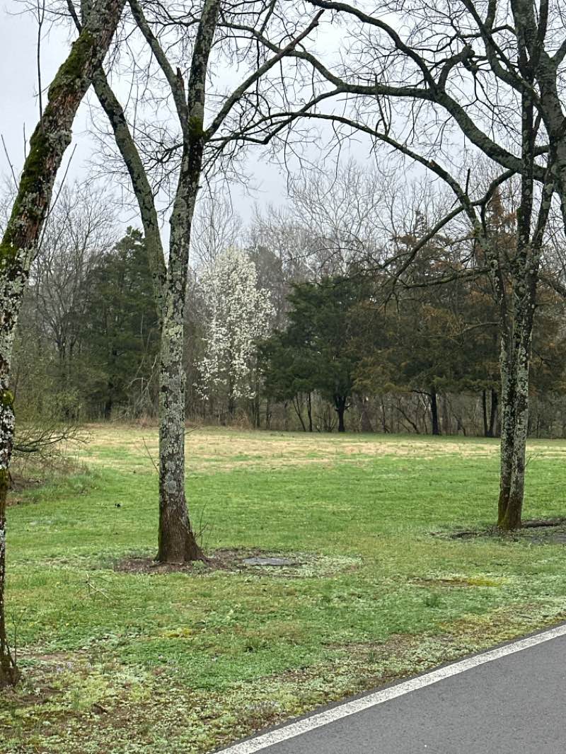 walking near me in Don Fox Community Park in spring