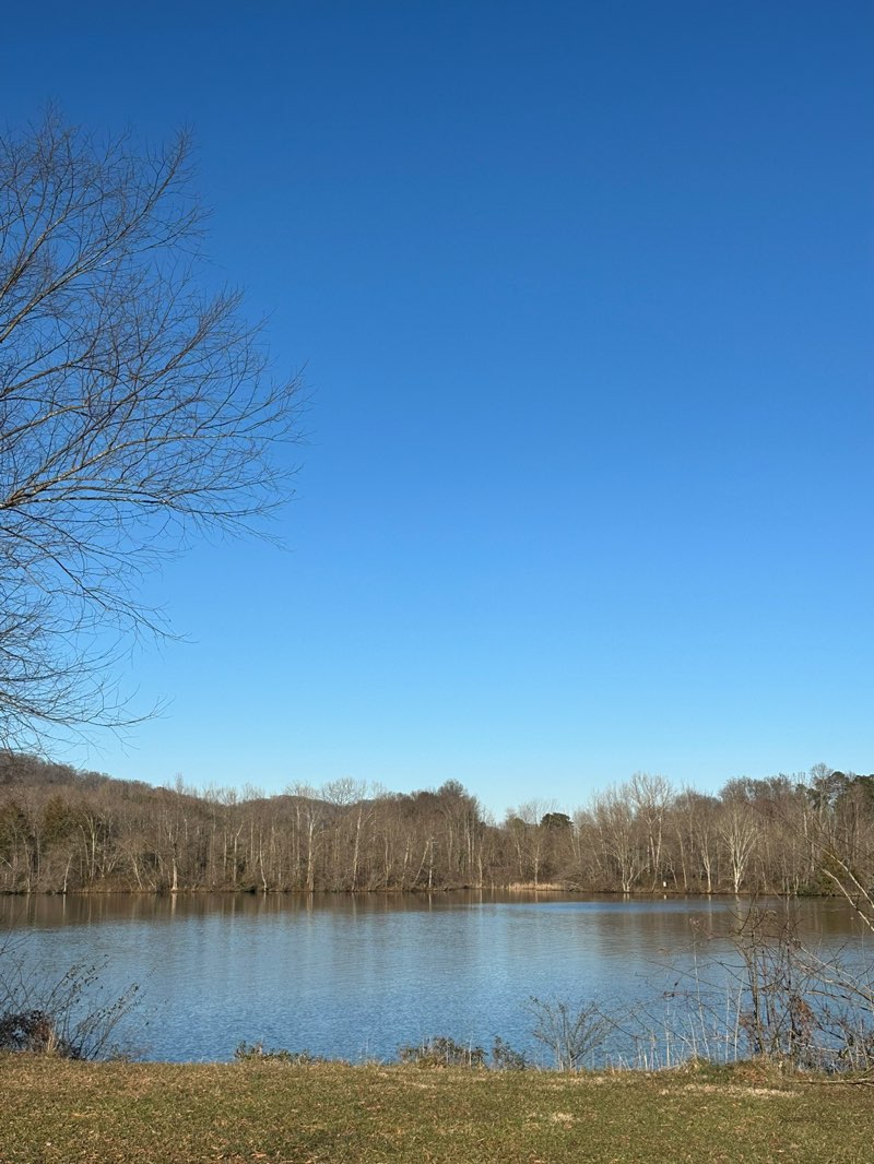 walking near me in Clinton City Park in winter