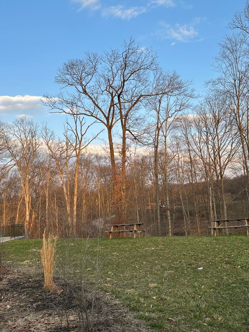 walking near me in Forks of Coal Recreational Area in spring