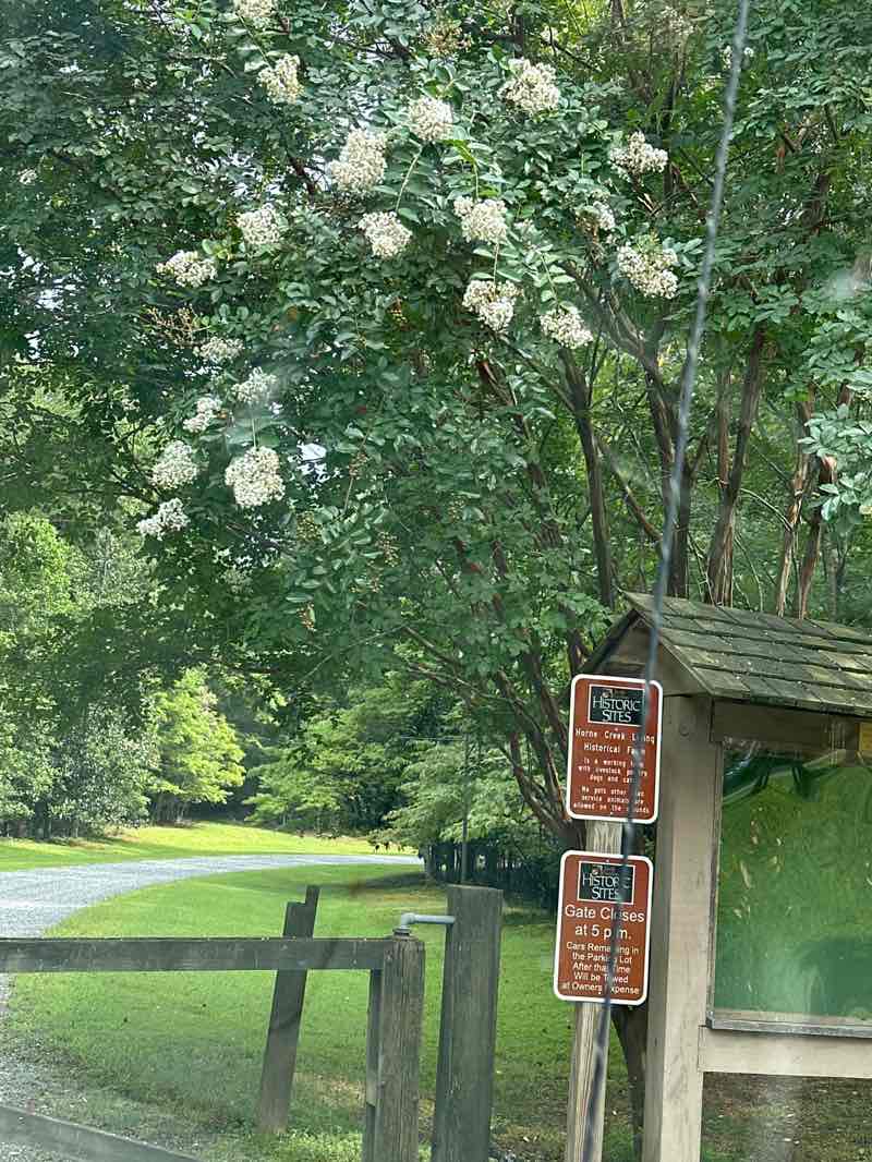 walking near me in Horne Creek Farm in autumn
