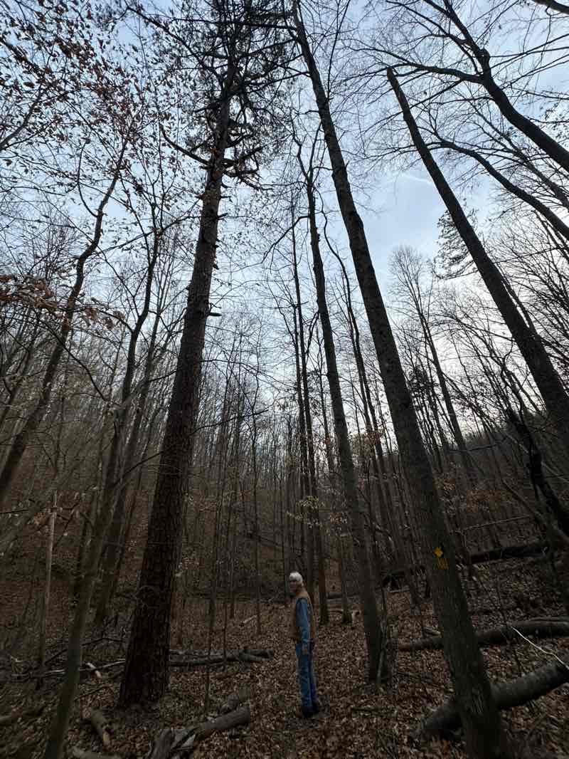 walking near me in Kanawha State Forest in spring