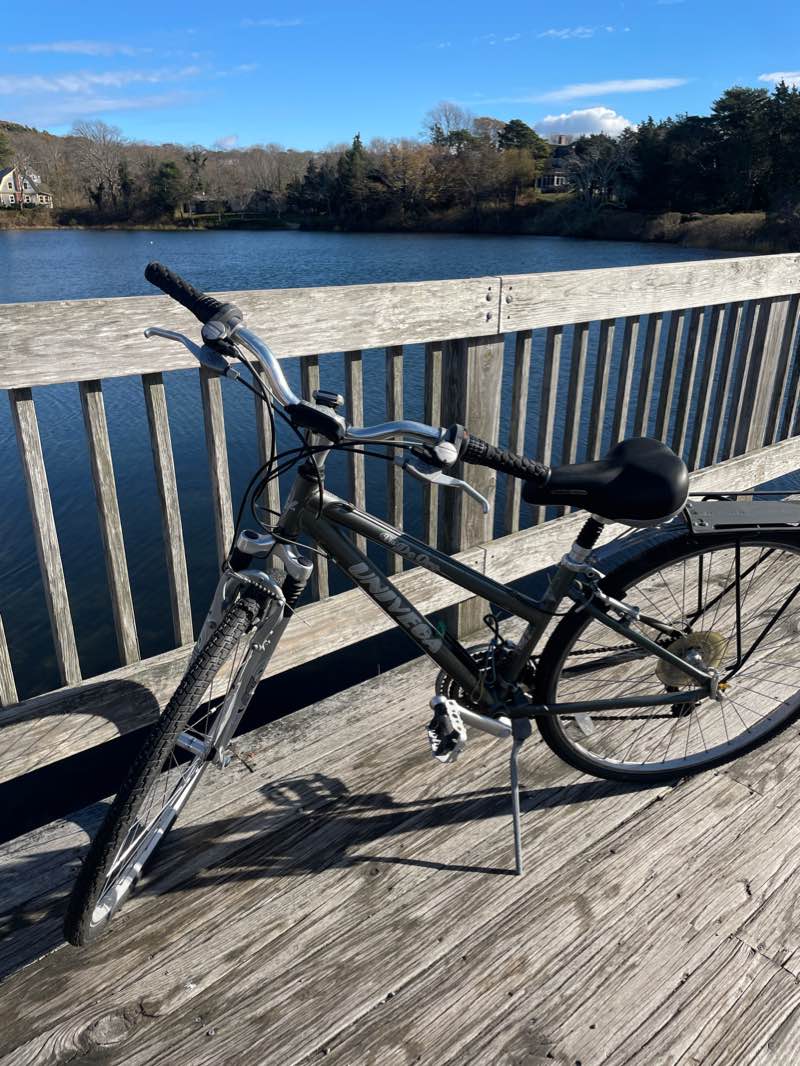 walking near me in Beebe Woods in winter