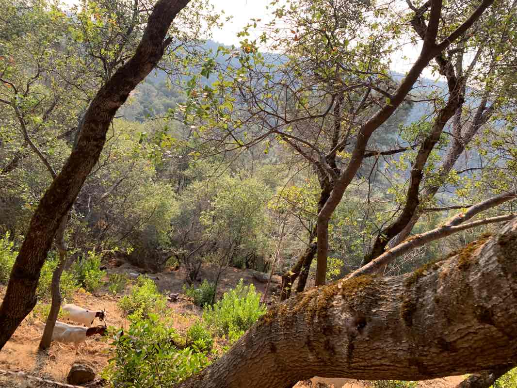 walking near me in Railhead Park in winter