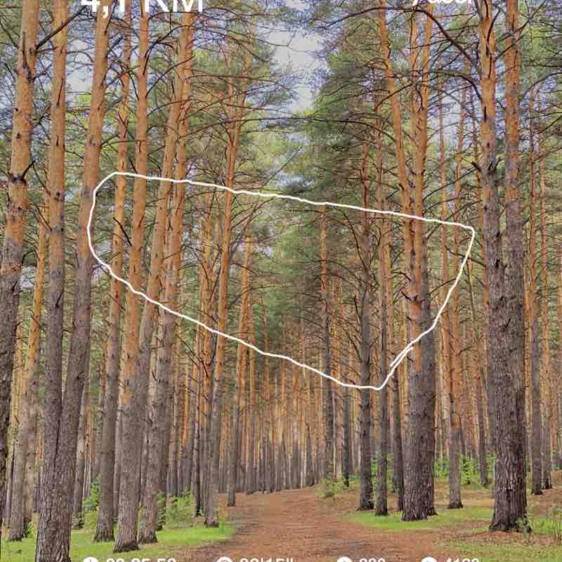 PacerТоварищ post 1