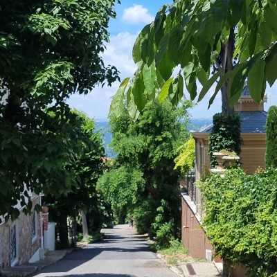 ایران Behnaz post image