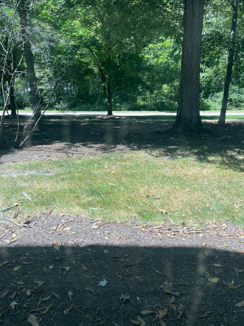 walking near me in Ford Field Park in autumn