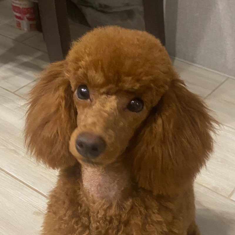 Арсений profile