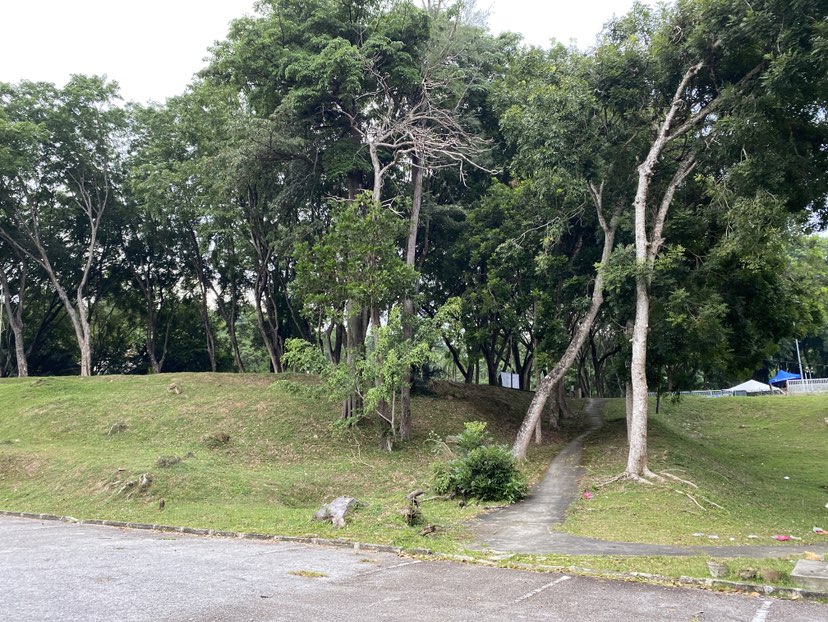 walking near me in Taman Tasik Teratai in autumn