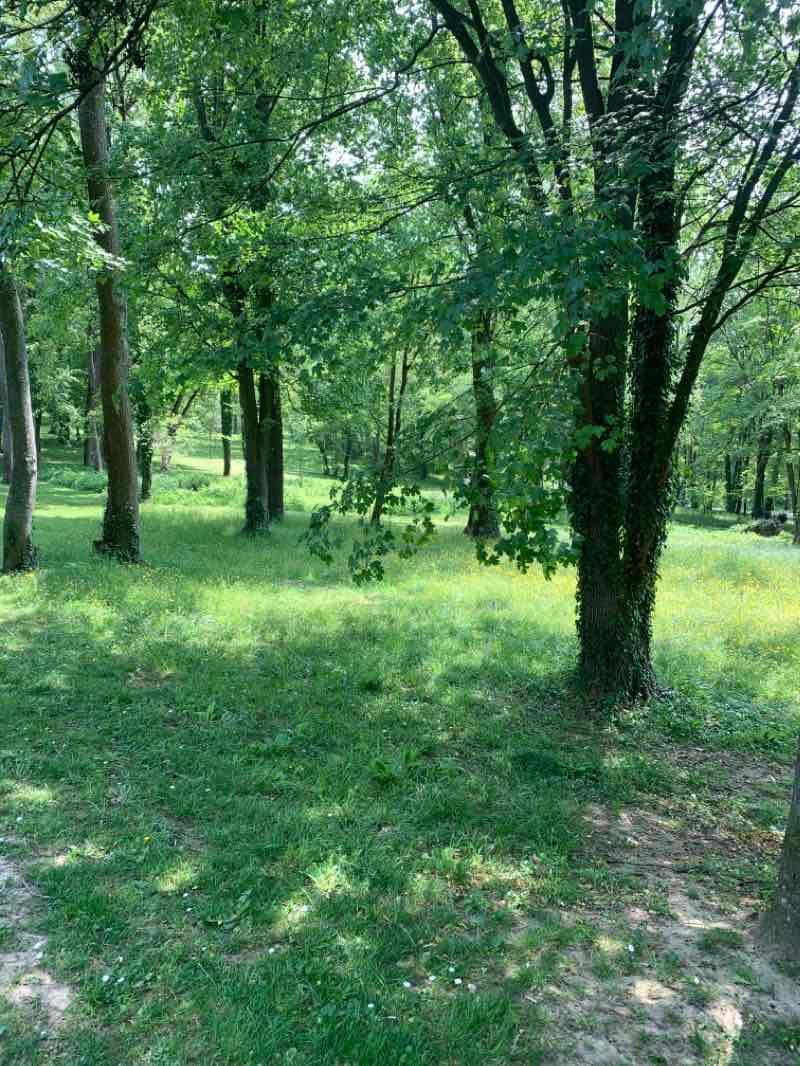 walking near me in Parc départemental du Morbras in winter