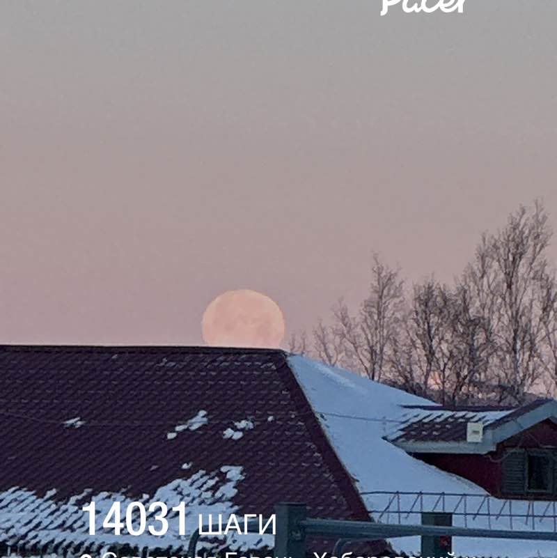 ВладиVостоК 2000🐯🎗️ 🐯 Злата 🐯🎗️ post image