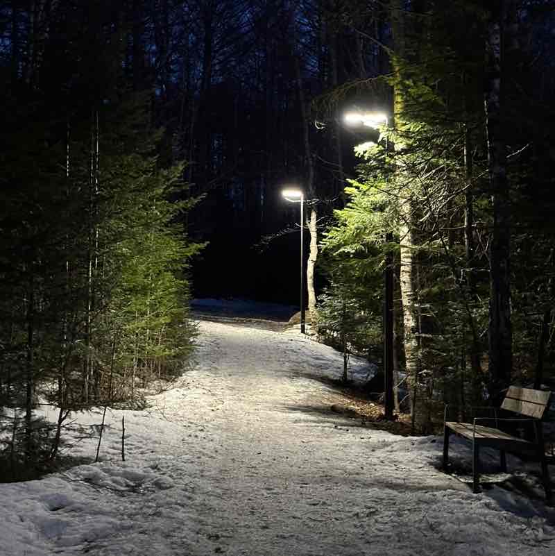 🐯 Злата 🐯🎗️ post 3