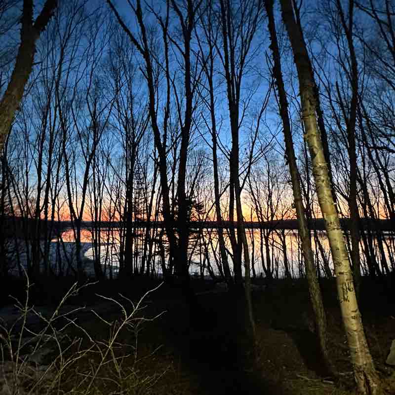 🐯 Злата 🐯🎗️ post 2