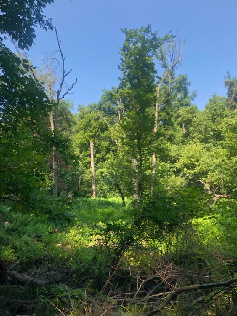 walking near me in Worthington Park in winter