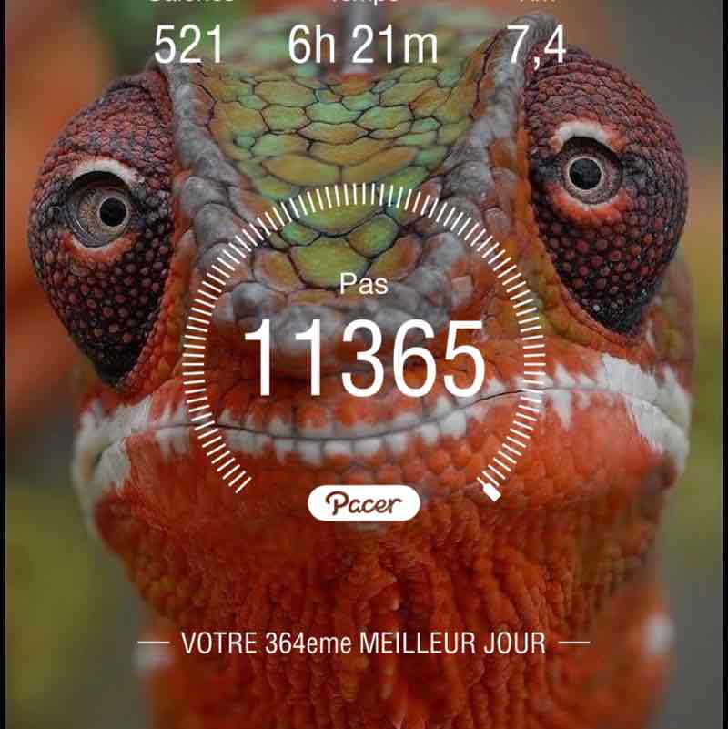 fleurdekookiss post 1