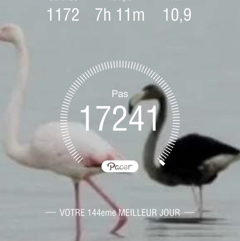 fleurdekookiss post 1