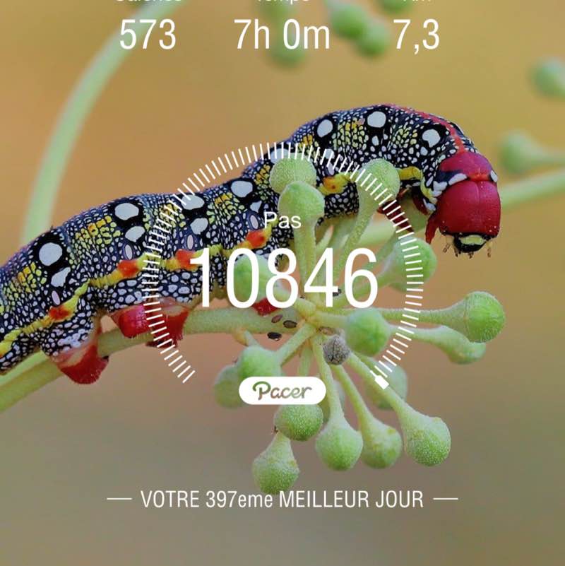 fleurdekookiss post 1