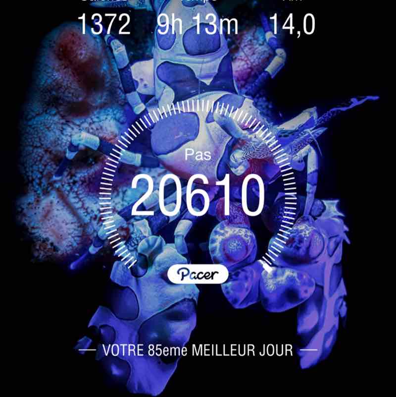 fleurdekookiss post 1