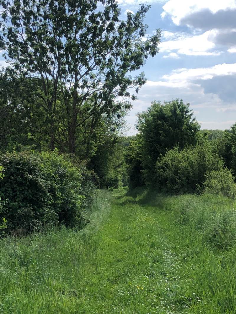 walking near me in La Roseraie de Provins in winter