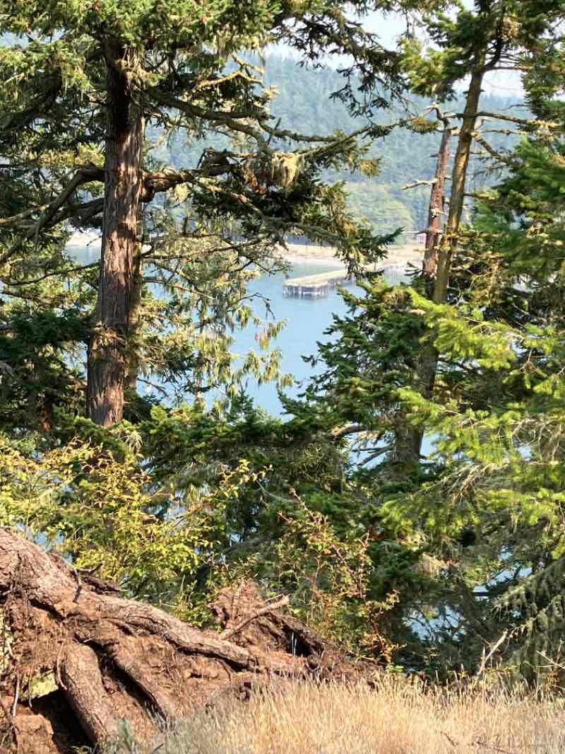 walking near me in Deception Pass State Park in winter