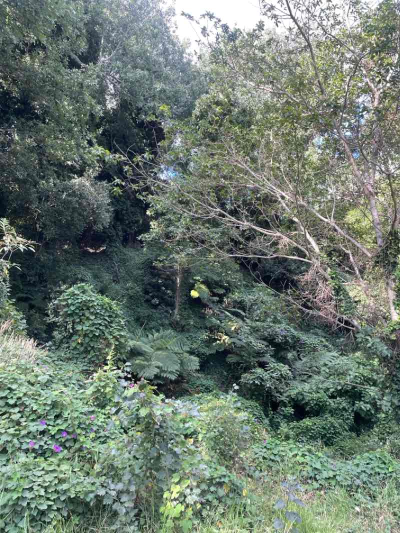 walking near me in Alphen in summer