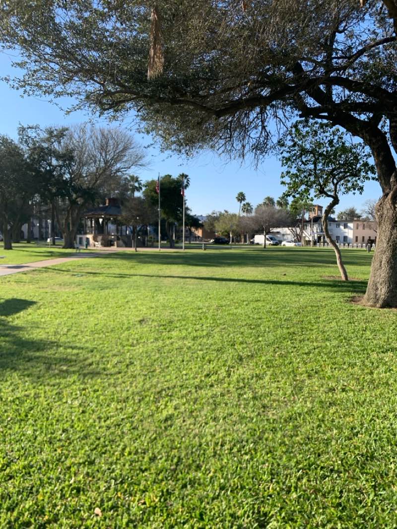 walking near me in Archer Park in winter