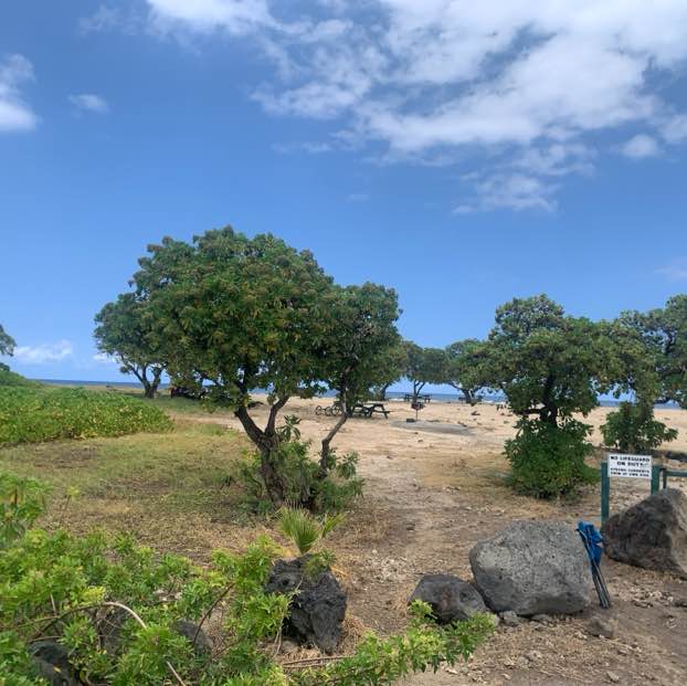 jjvuniwai post 1