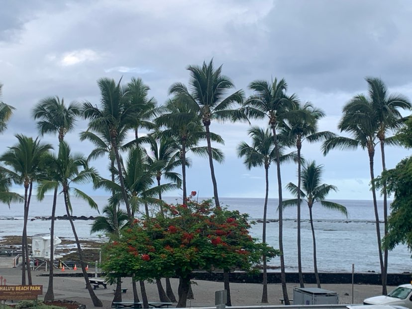 walking near me in Kahaluu Beach Park in summer