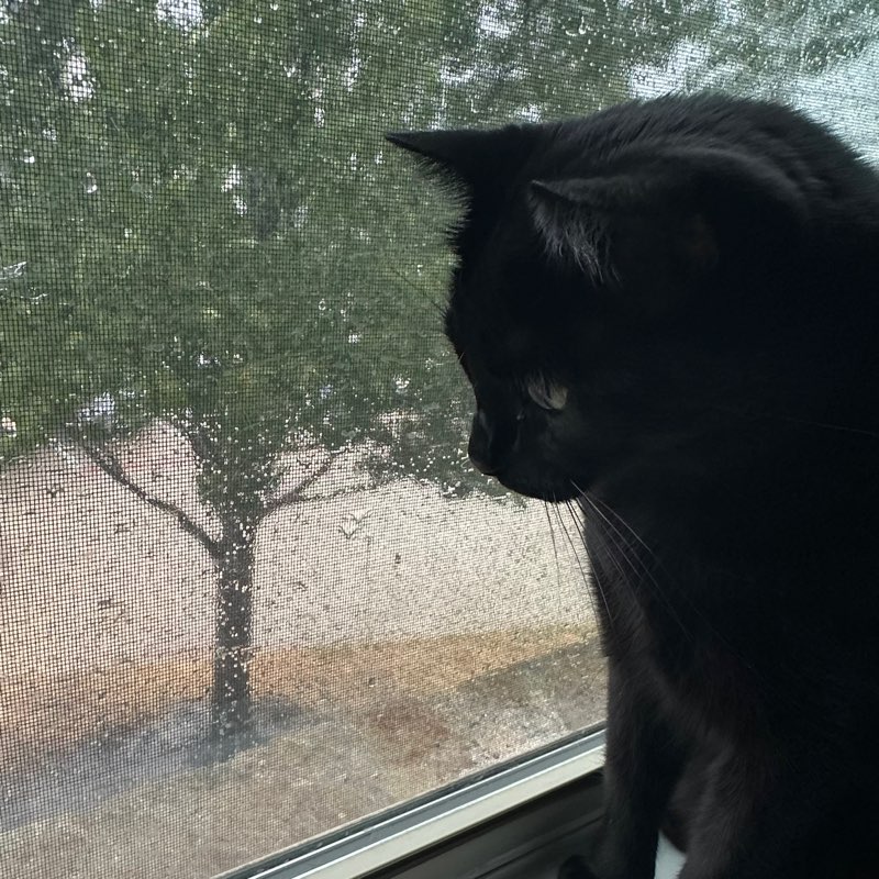 Carlos Abelardo Olivares profile