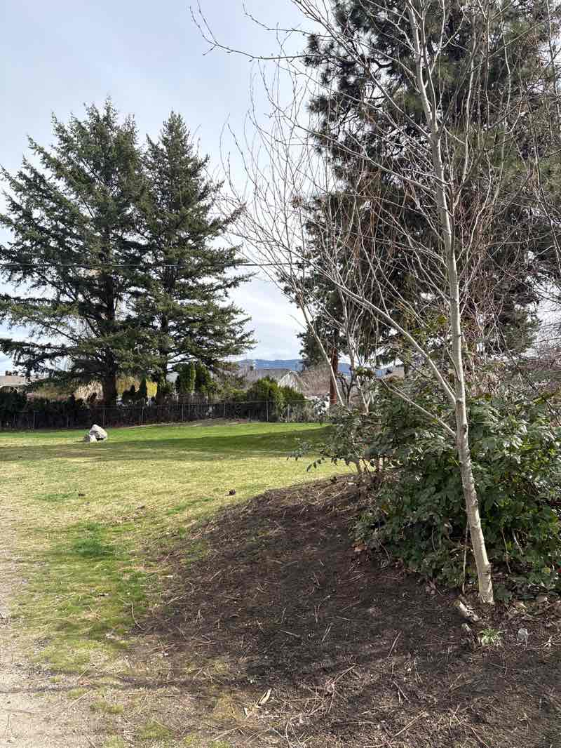 walking near me in Gerstmar Park in spring