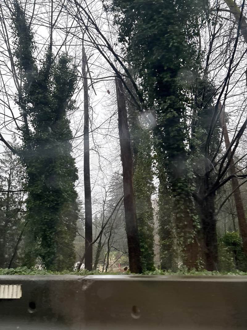 walking near me in Cedardale Park in spring