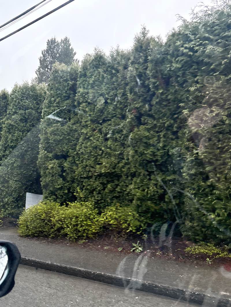 walking near me in Mosquito Creek Park in spring